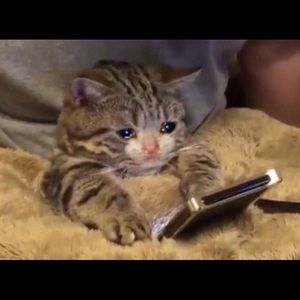 Meet your Posher, Ryanne